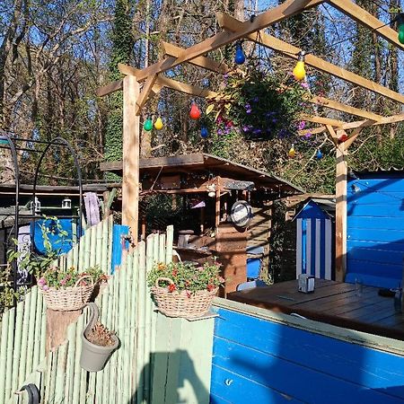 Maison 70M2 Calme Vue Sur Foret サル エクステリア 写真
